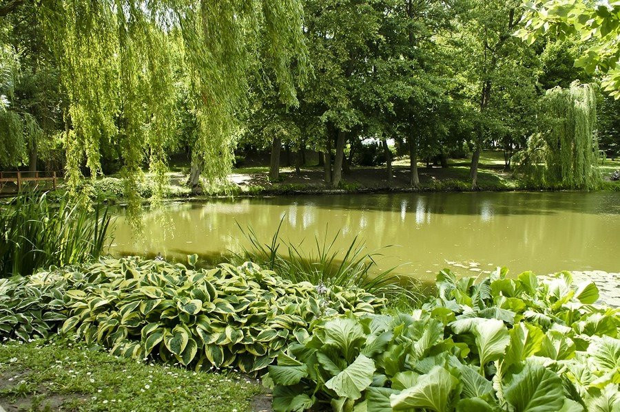 Chopin Centre in Szafarnia景点图片