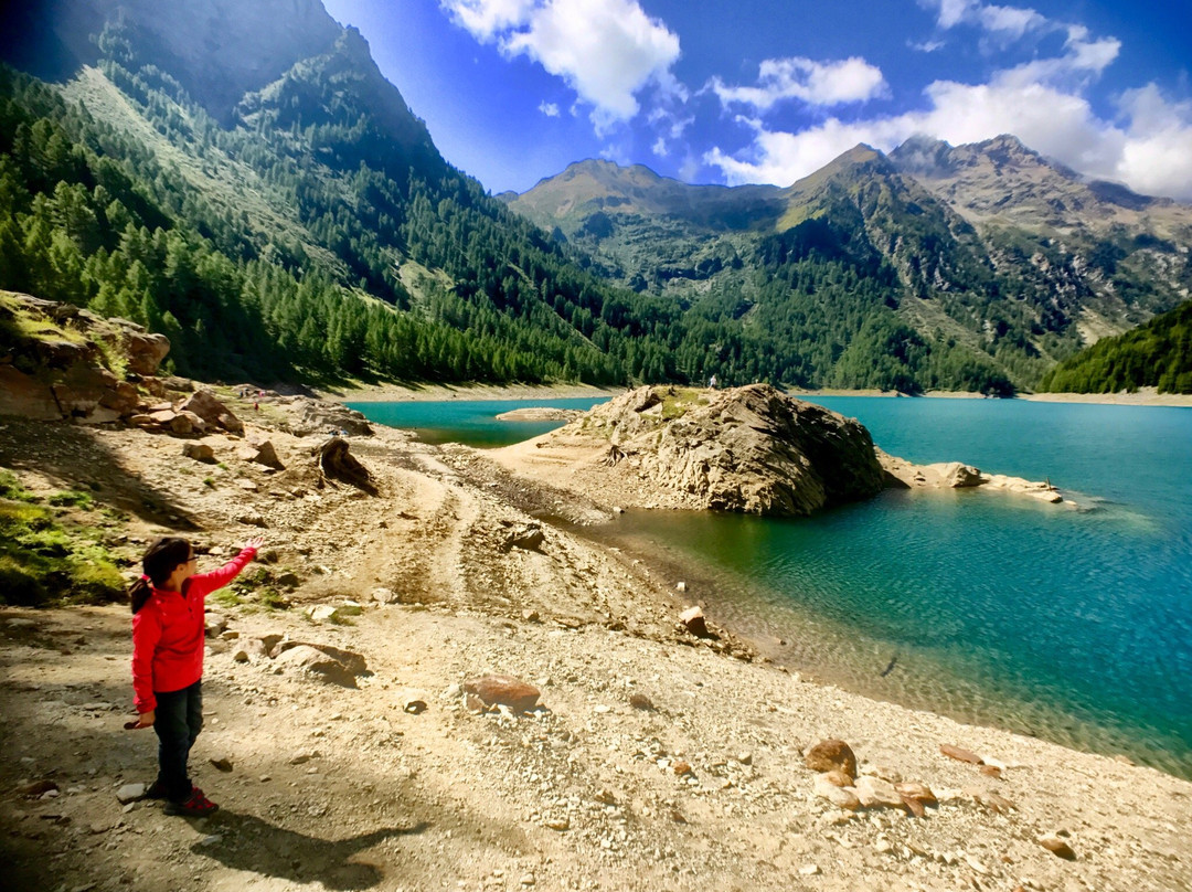 2023年Cogolo旅游攻略 7Cogolo酒店/景点/门票/美食/自助游/自驾/自由行/游玩攻略 Tripadvisor猫途鹰