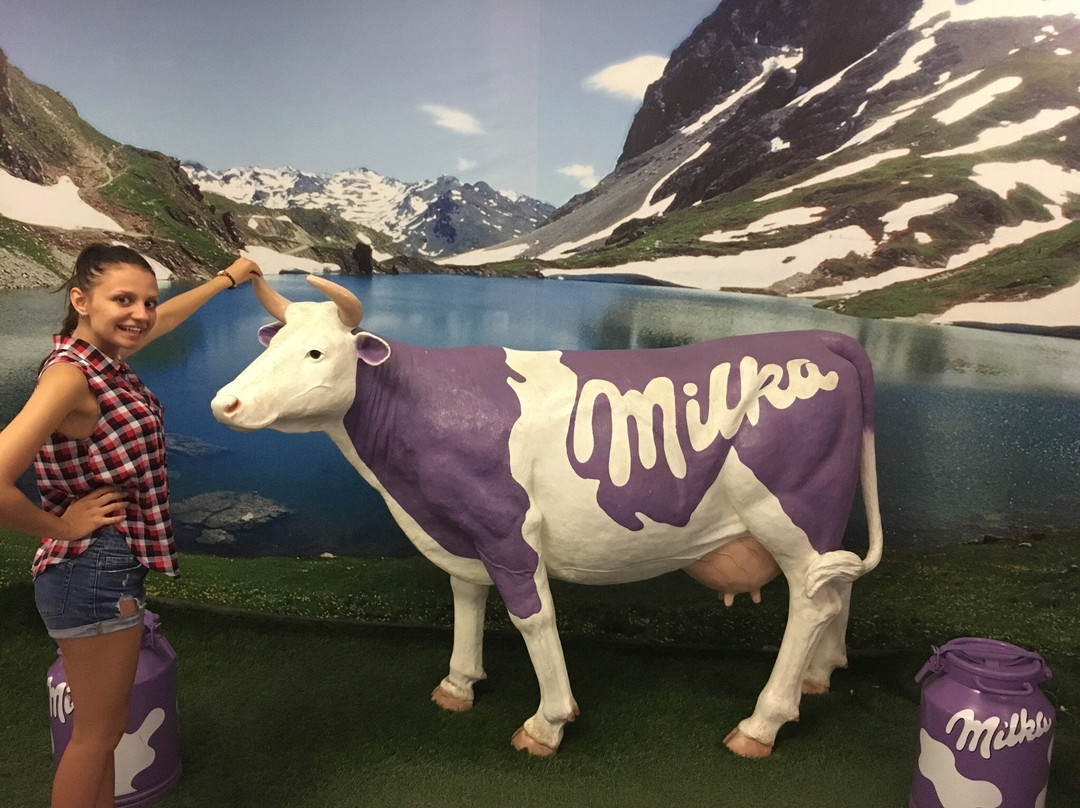 Museum of Chocolate