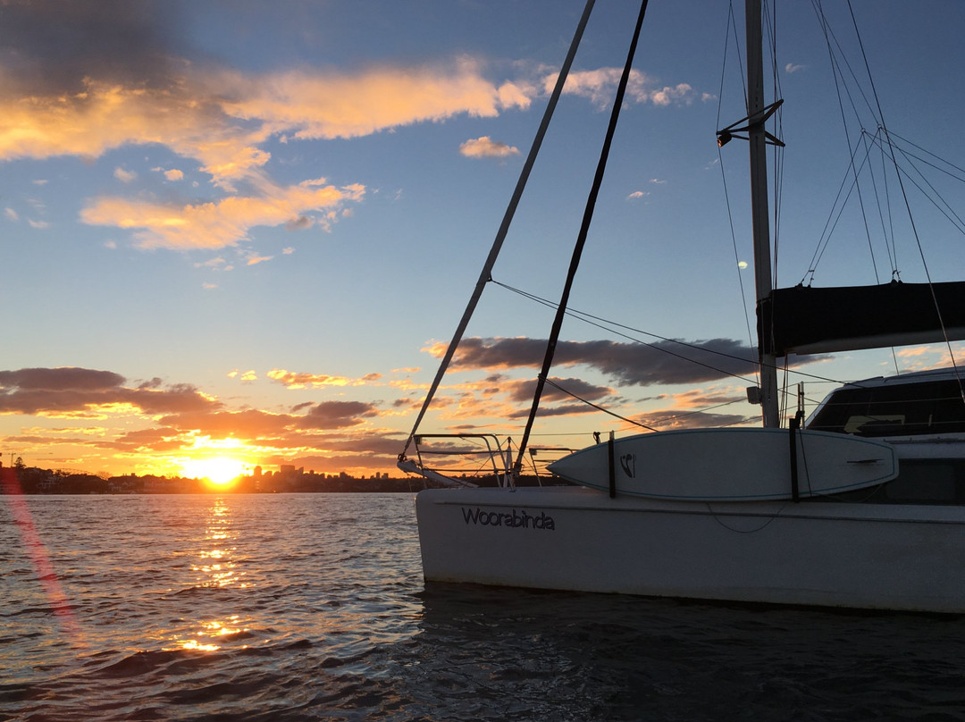 Experience Sydney Harbour景点图片