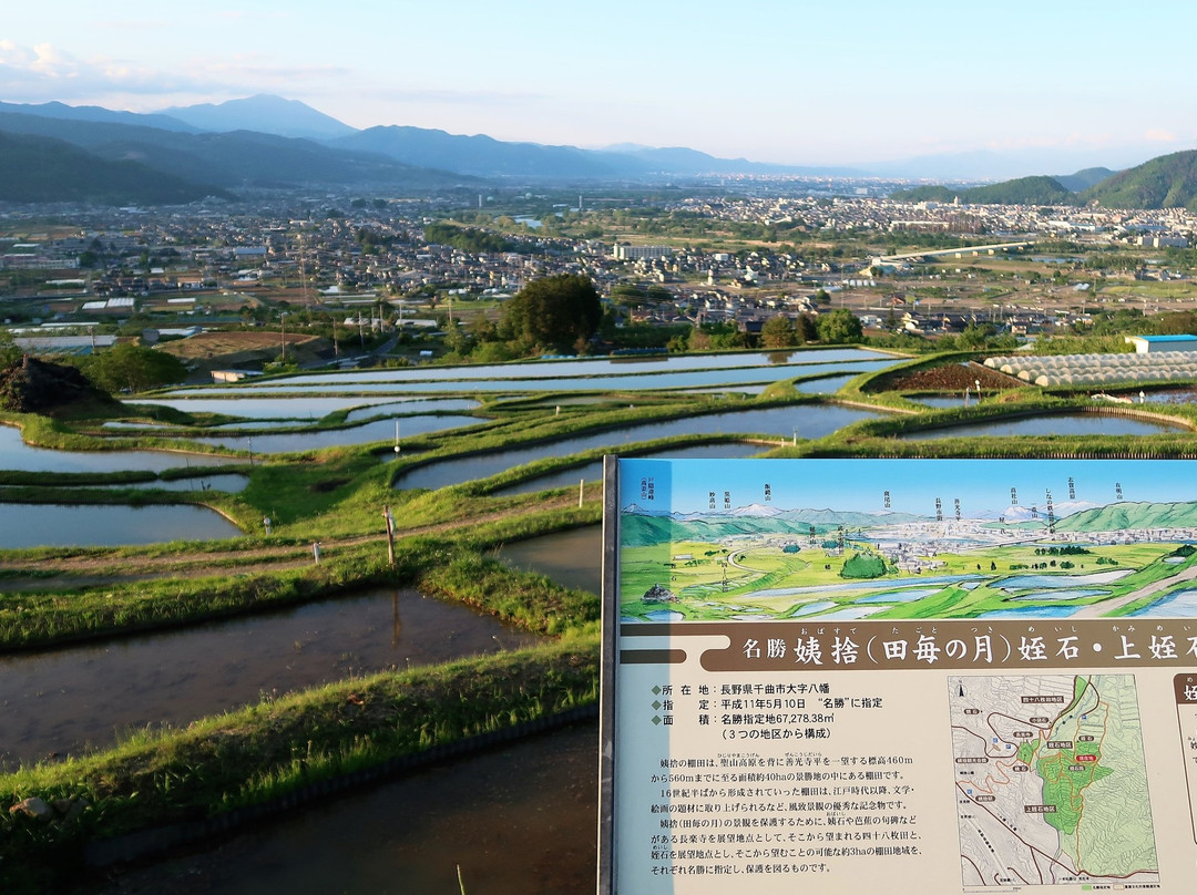 Obasute tanada (Terraced rice fields)-千曲市必去景点