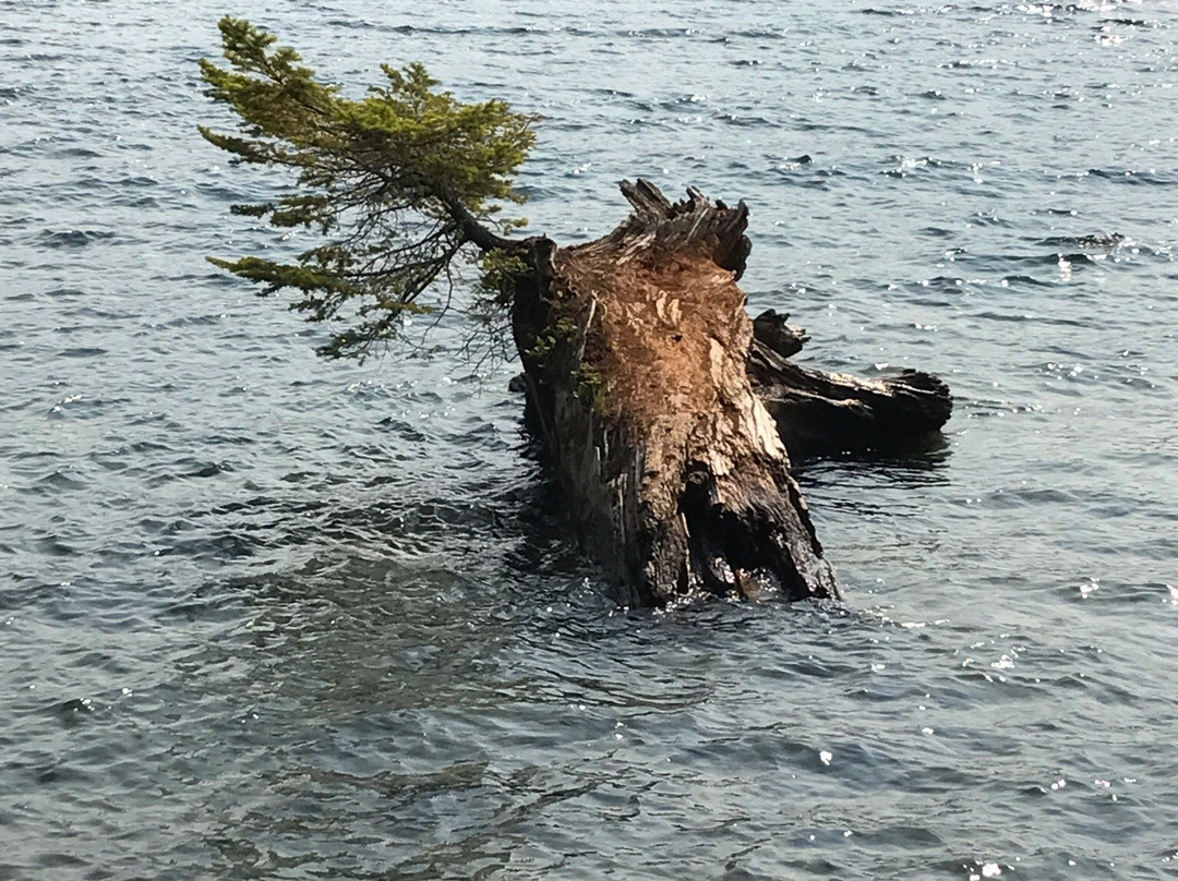 Lake Whatcom景点图片