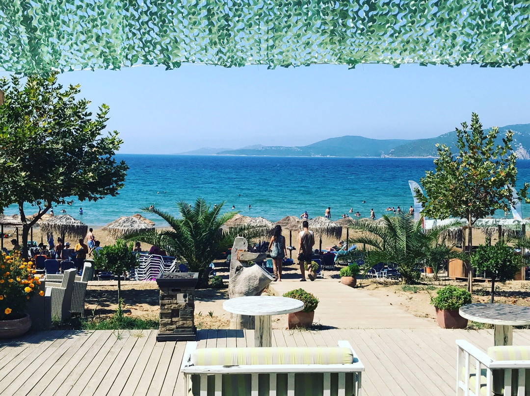Zanzibar Beach Bar景点图片