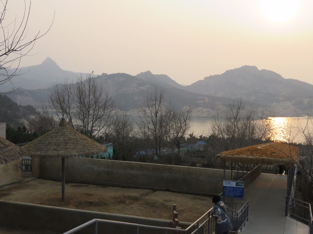 荣成神雕山野生动物园-荣成市必去景点