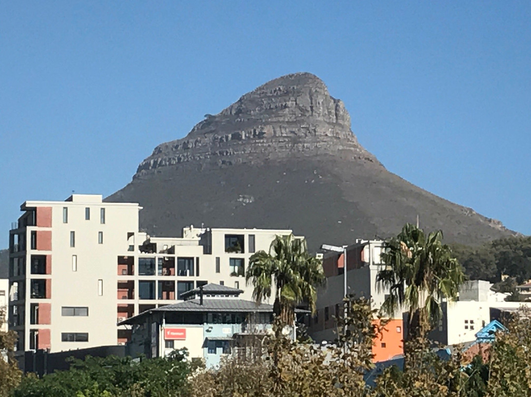 Cape Town Gateway Visitor Centre景点图片