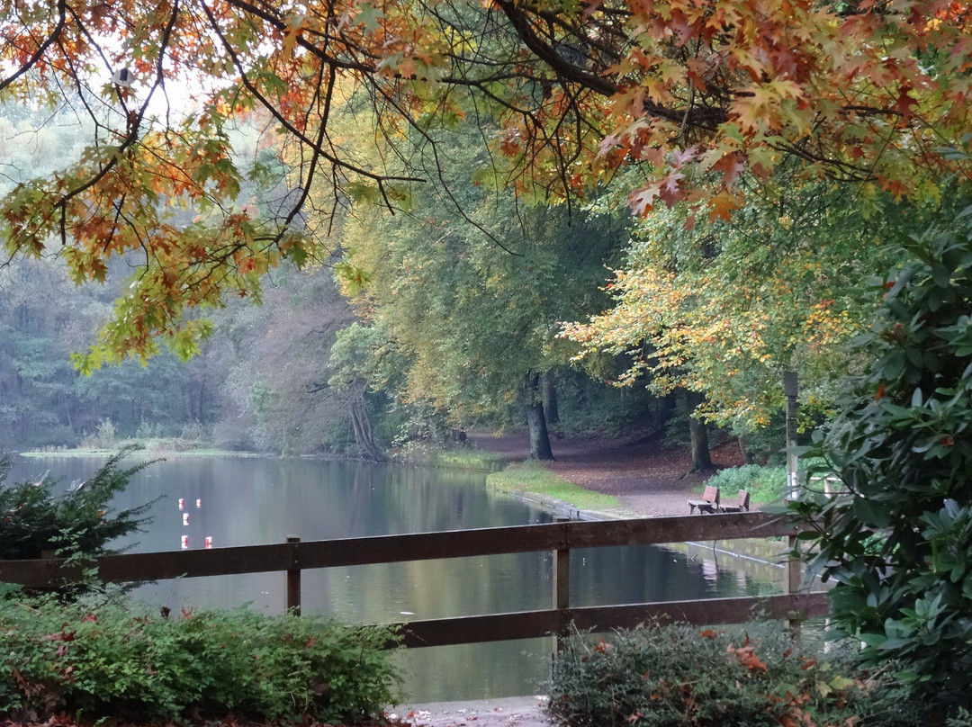 Berger-Denkmal-维滕必去景点