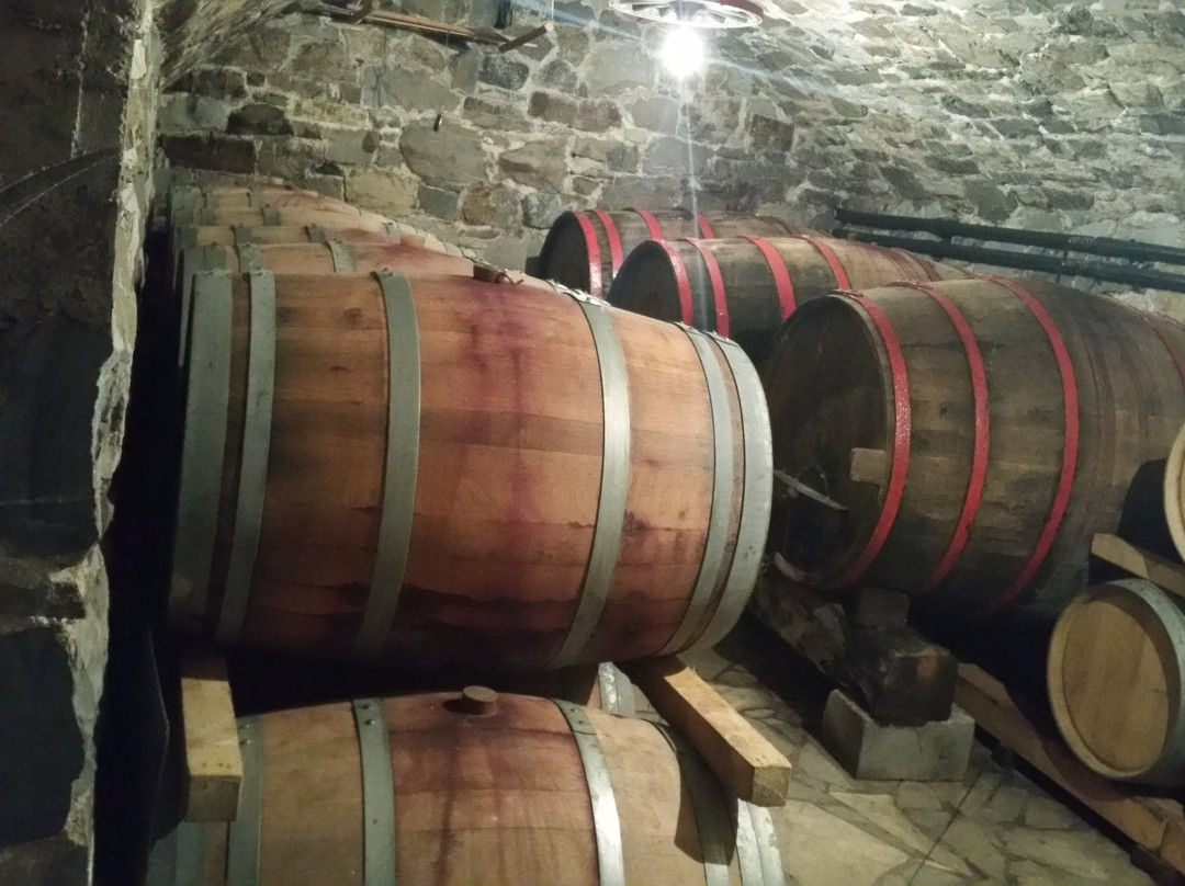 Wines Jamsek-Vipava必去景点