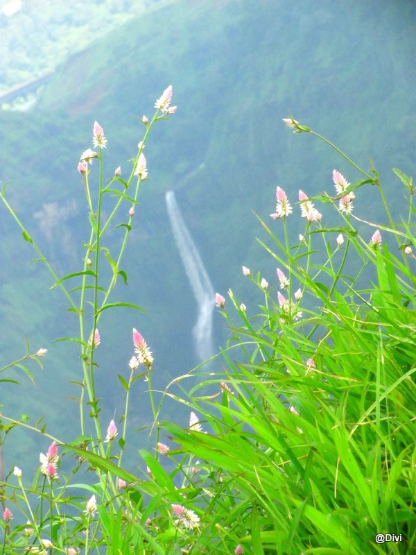 Kune Waterfalls景点图片