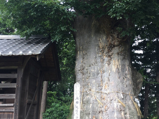 Baba Family Old Residence-松本市必去景点