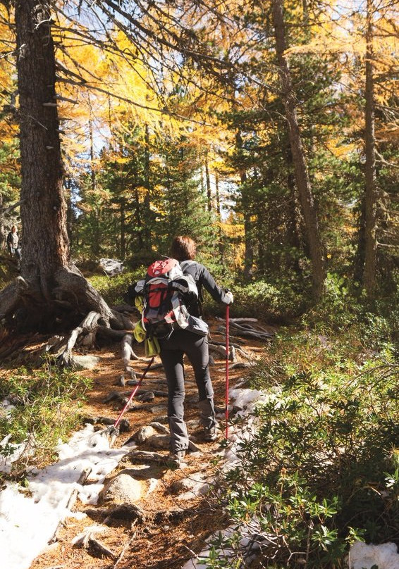 Burns Lake Visitor Centre-Burns Lake必去景点