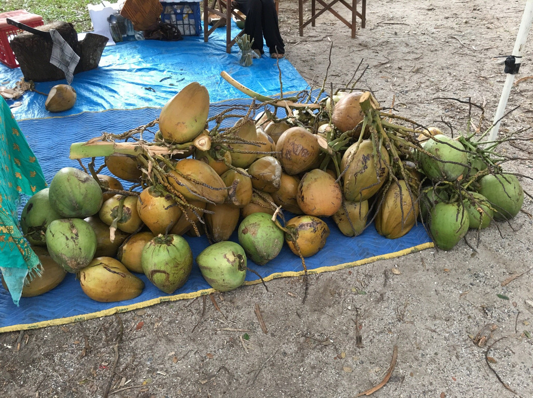 Mossman Saturday Market-Mossman必去景点