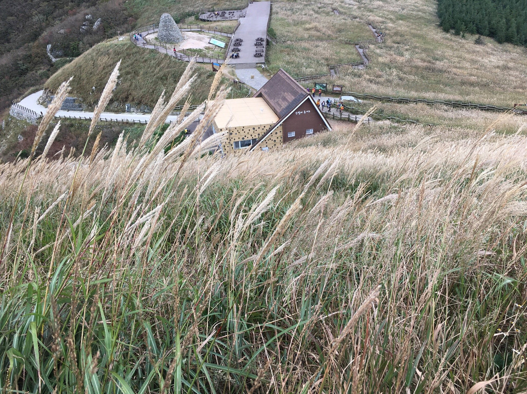 Ganwoljae Plateau-蔚山必去景点