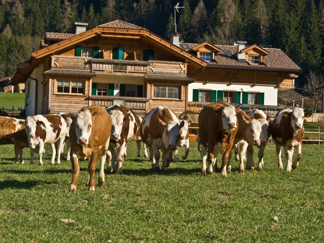 Agritur Col Verde