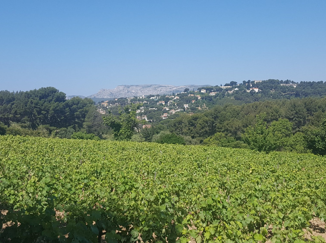 ProvenceVisit-卡西斯必去景点