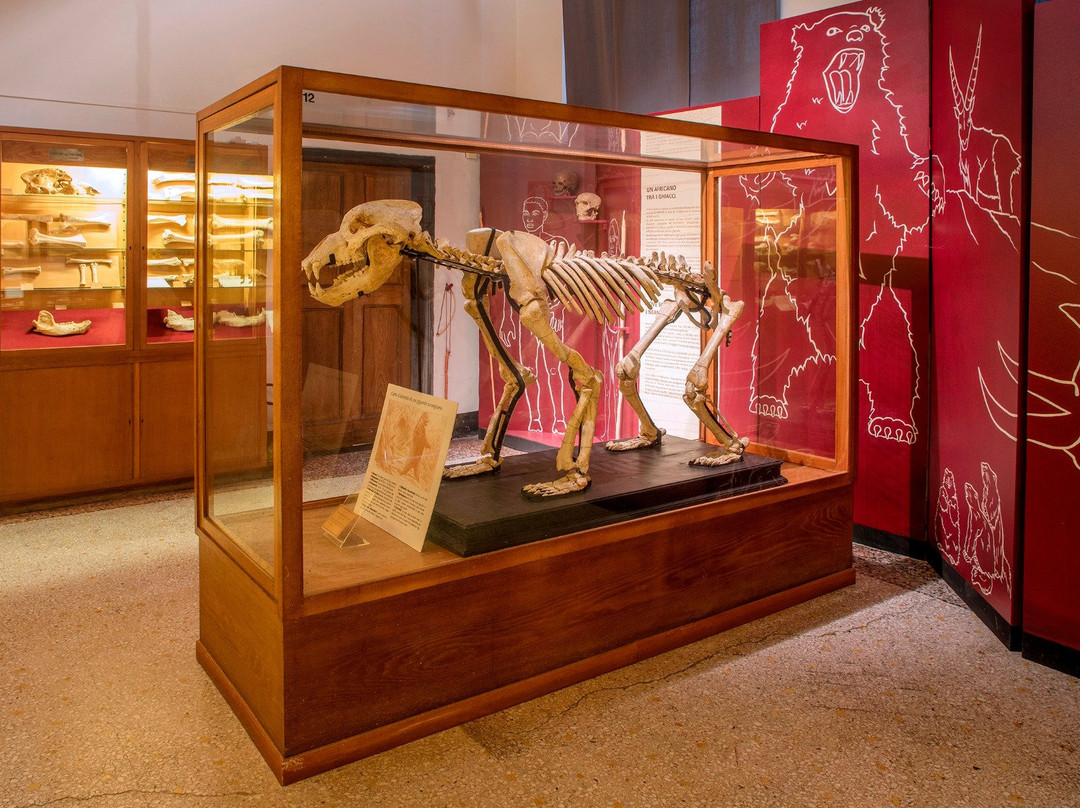 Museo di Archeologia-热那亚必去景点