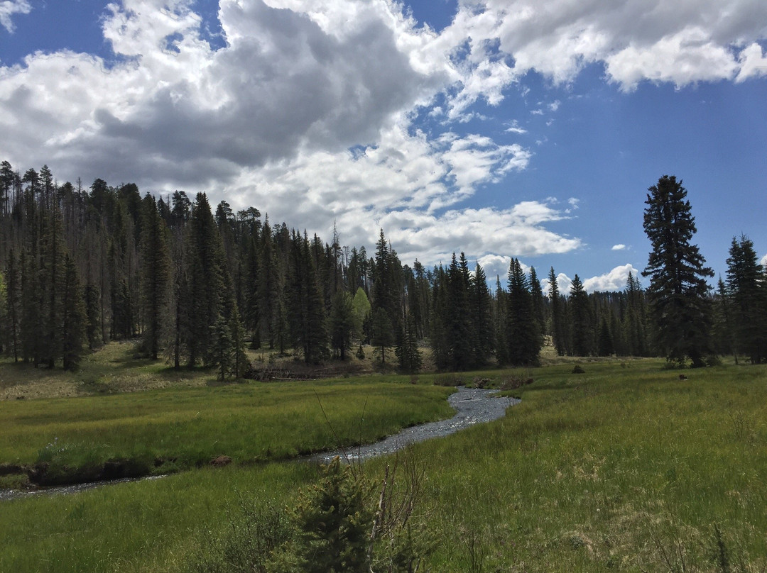 Thompson Trail (Forest Service Trail 629)-Pinetop-Lakeside必去景点