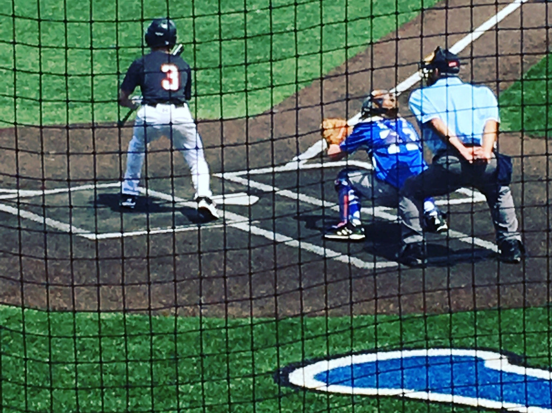 Standard Bank Stadium-Crestwood必去景点