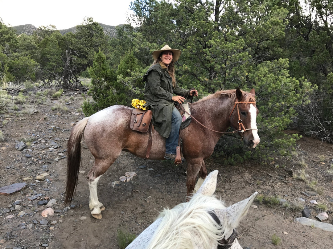 Cieneguilla Stables-陶斯县必去景点