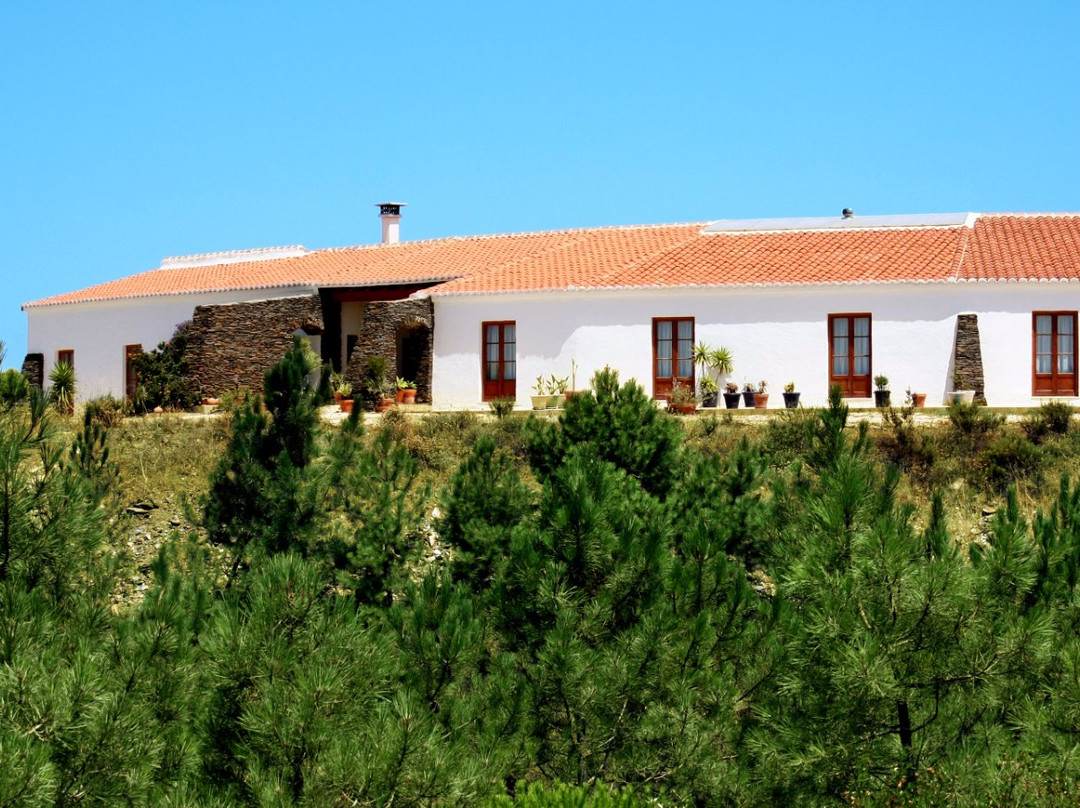 Russo Surfcamp