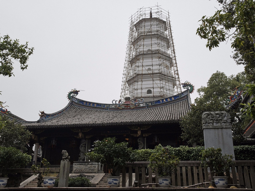 定光塔寺景点图片