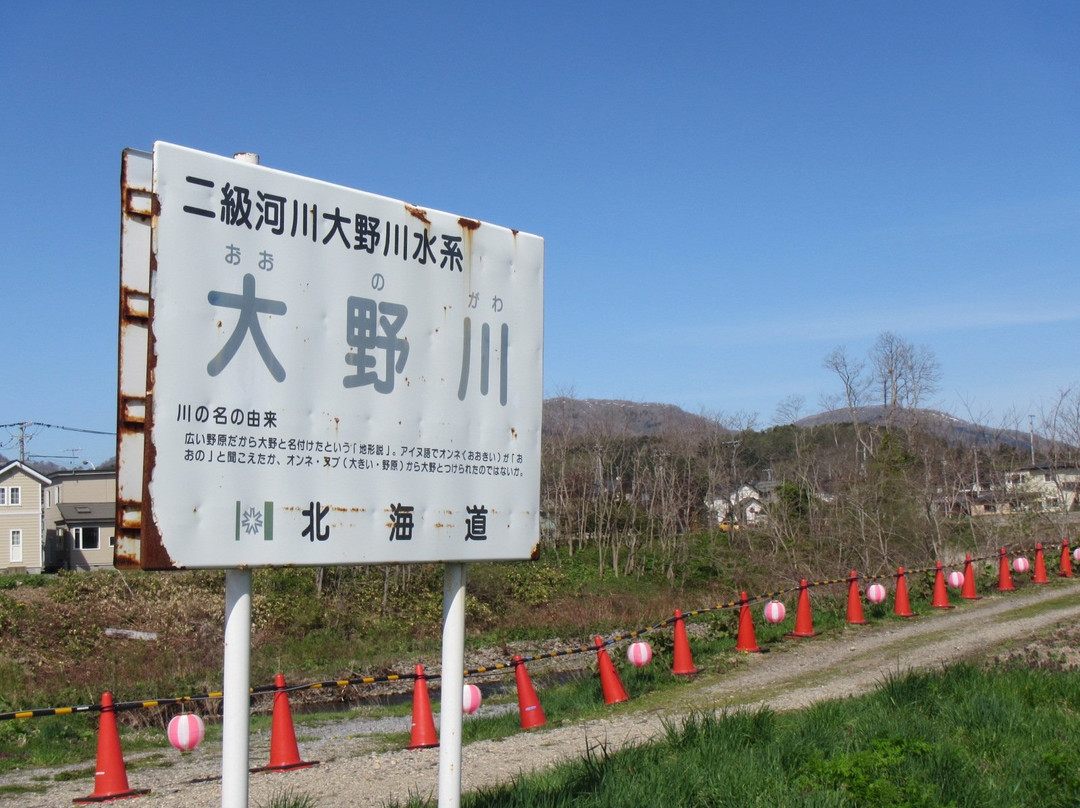 Ono River Cherry Blossom Avenue-北斗市必去景点