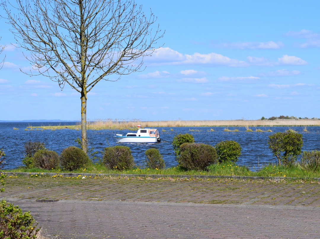 Altwarp旅游攻略图片