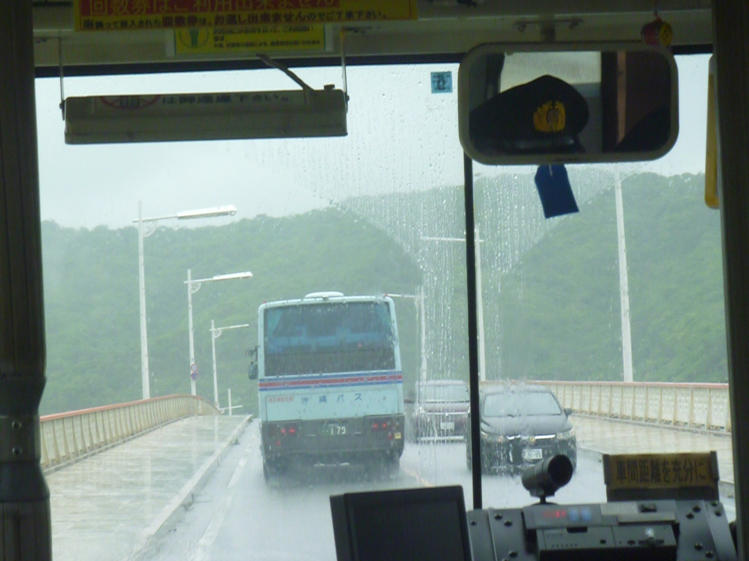 Shioya Bridge景点图片