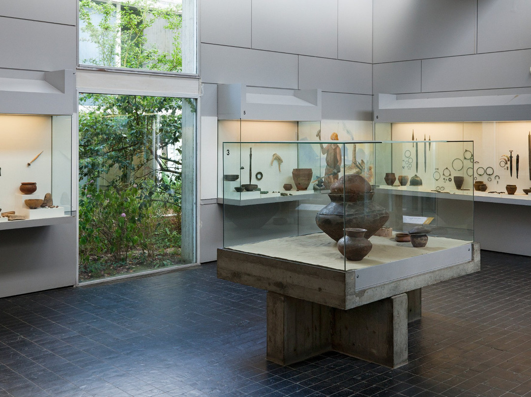 Musee de Prehistoire d'Ile-De-France景点图片