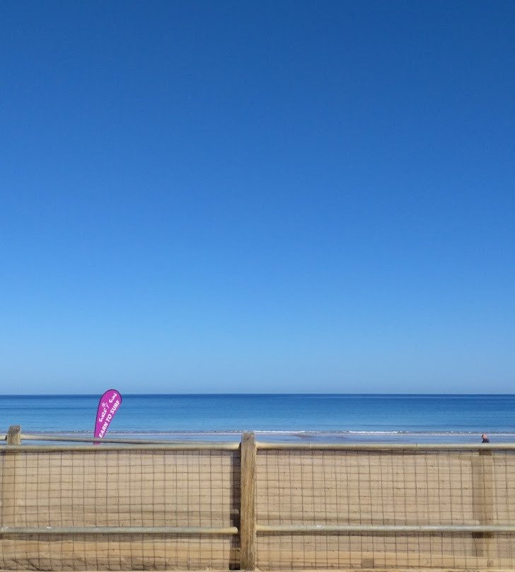 Surf & Sun Surf Lessons景点图片