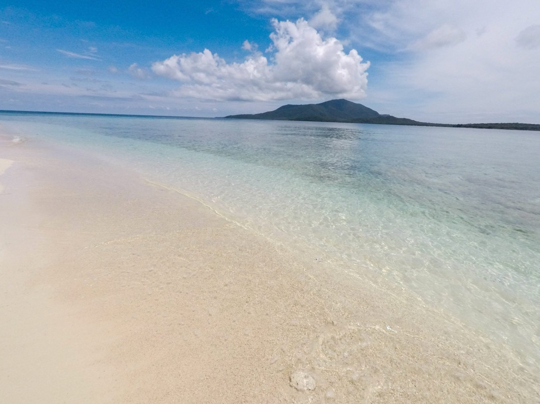 Dolphin Karimunjawa-卡里蒙加瓦必去景点