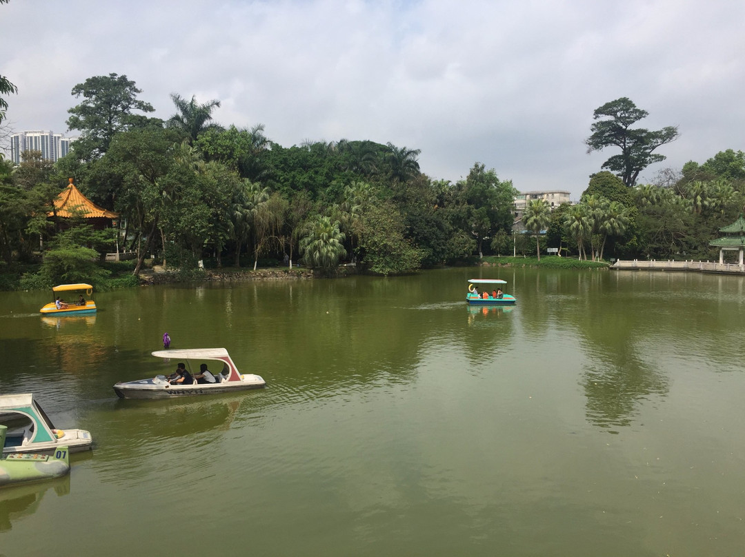 逸仙湖公园-中山市必去景点