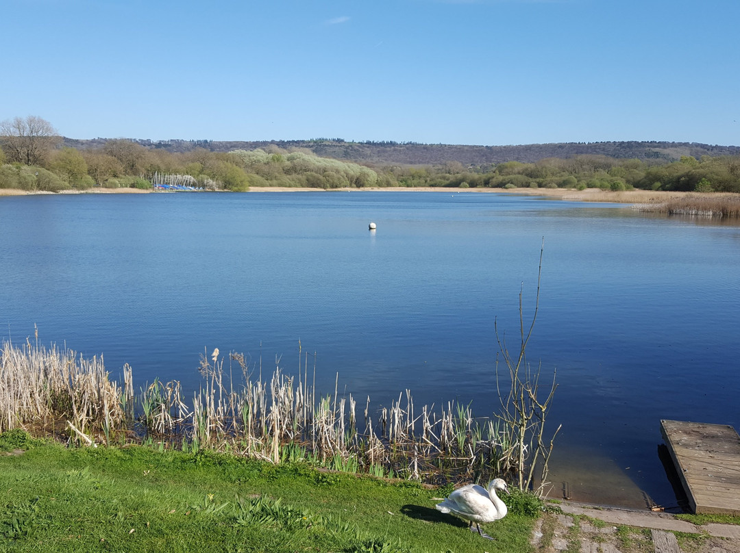 Weston Turville Reservoir景点图片