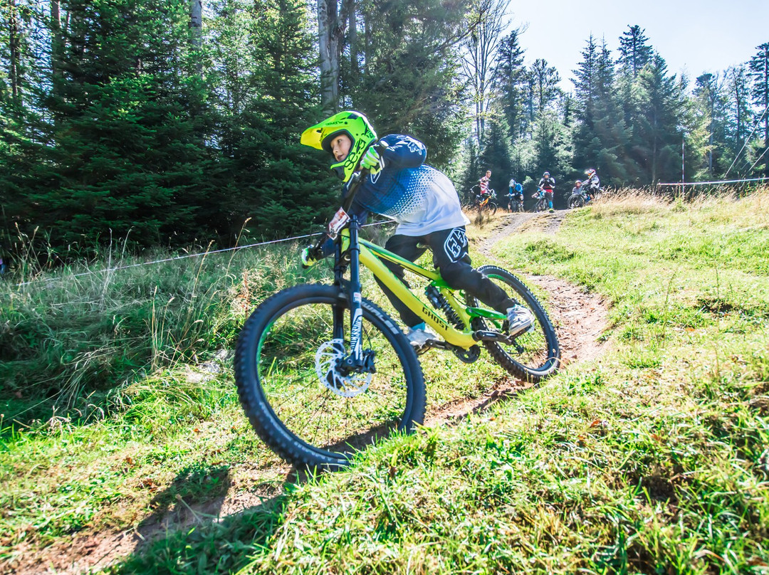 Bikepark Bad Wildbad景点图片