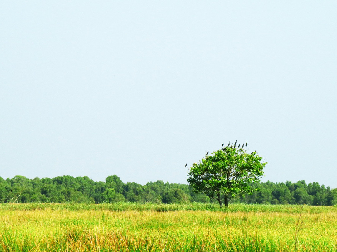 Tram Chim National Park-Cao Lanh必去景点