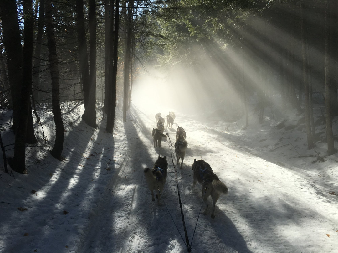 Braeburn Siberians-Windsor必去景点