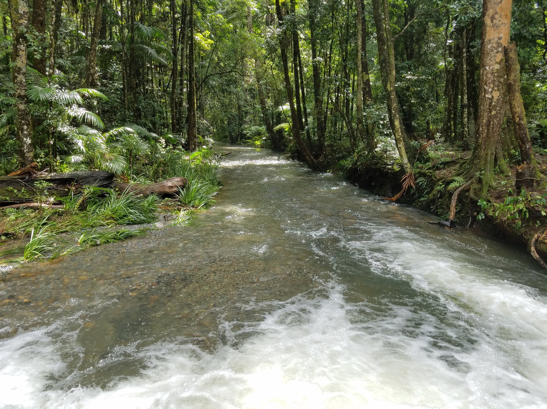 Korora旅游攻略图片