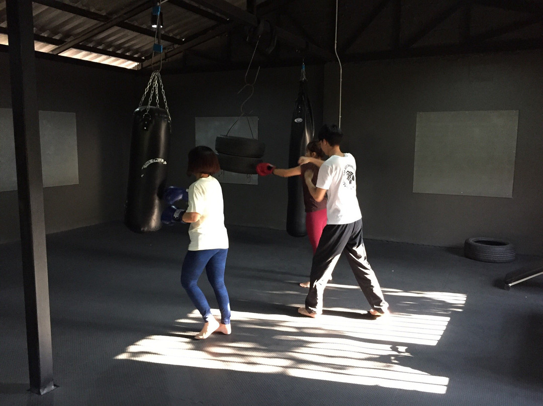 Mad Bull Muay Thai Gym-清迈必去景点