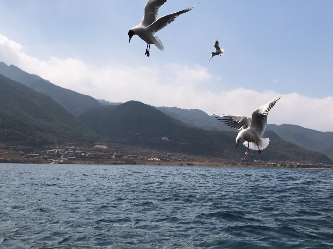 猪槽船与湖心岛-宁蒗彝族自治县必去景点