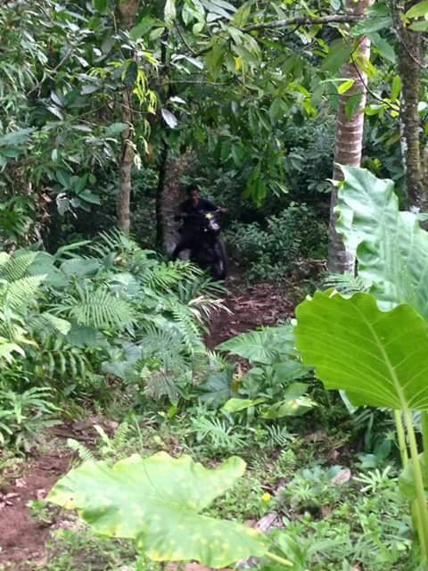 Bali Jungle Dirtbike-达巴南必去景点