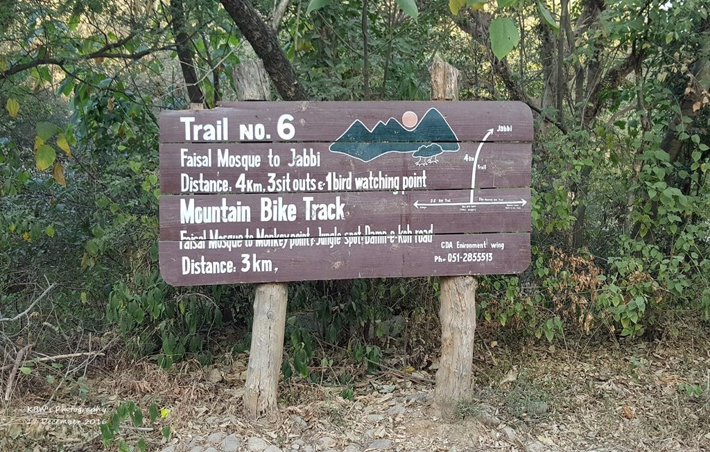 Trail 6景点图片
