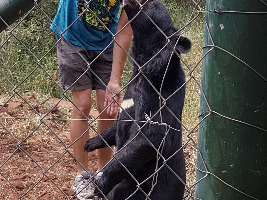 MBIDI Resort & Animal Sanctuary-米德尔堡必去景点