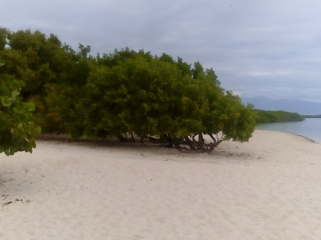 La Caobita Beach-Azua必去景点