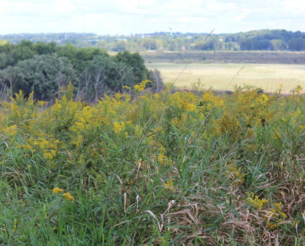 Cherokee Marsh- North Unit-麦迪逊必去景点