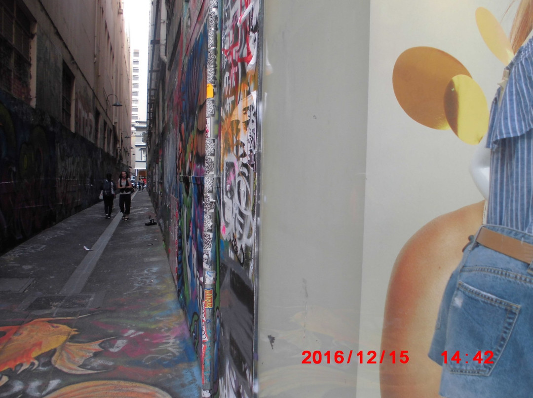 Australian Treasure Walks - Melbourne Lanes and Arcades景点图片