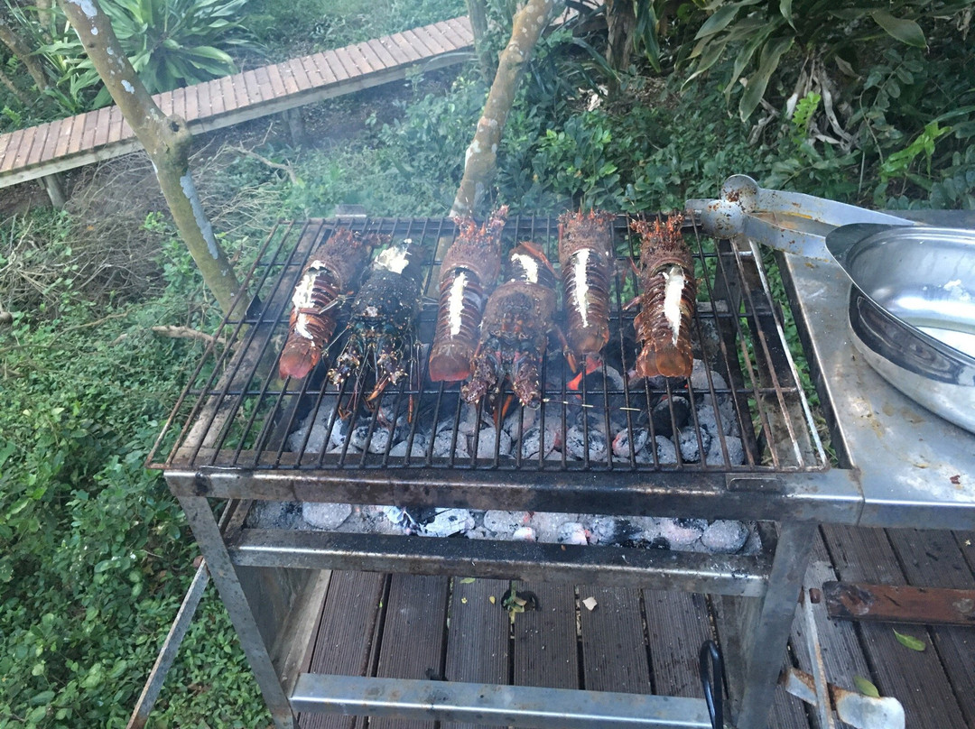 Vista Alta Lodge & Spa主图