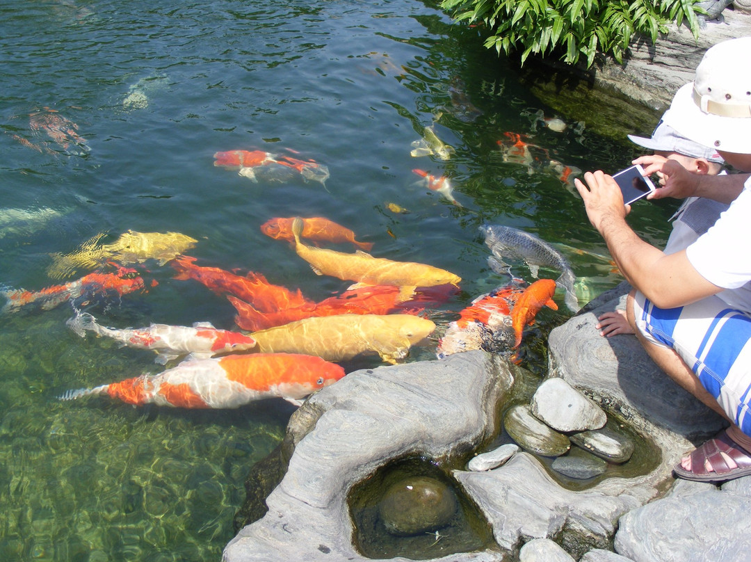 Rin Rin Park-胡志明市必去景点