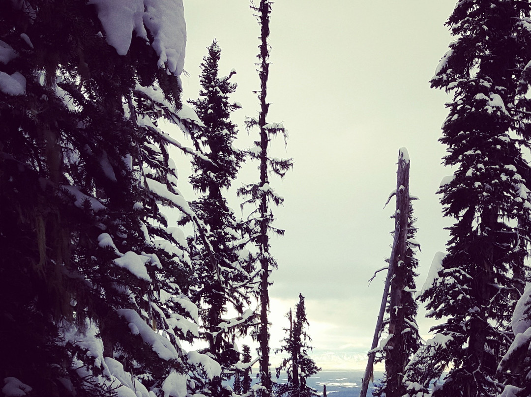 Sugarbowl-Grizzly Den Provincial Park and Protected Area景点图片