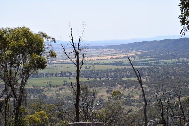 Mt Brown-阔恩必去景点