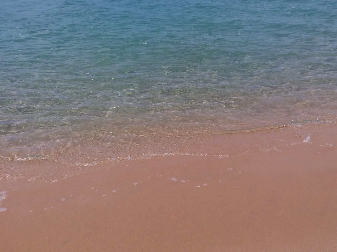 Cosy Bay Beach-Oudekraal必去景点