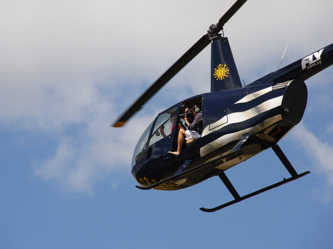 Fly-蒙得维的亚必去景点